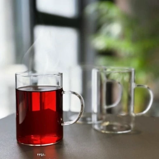 پاپیون گالری گالری پاپیون